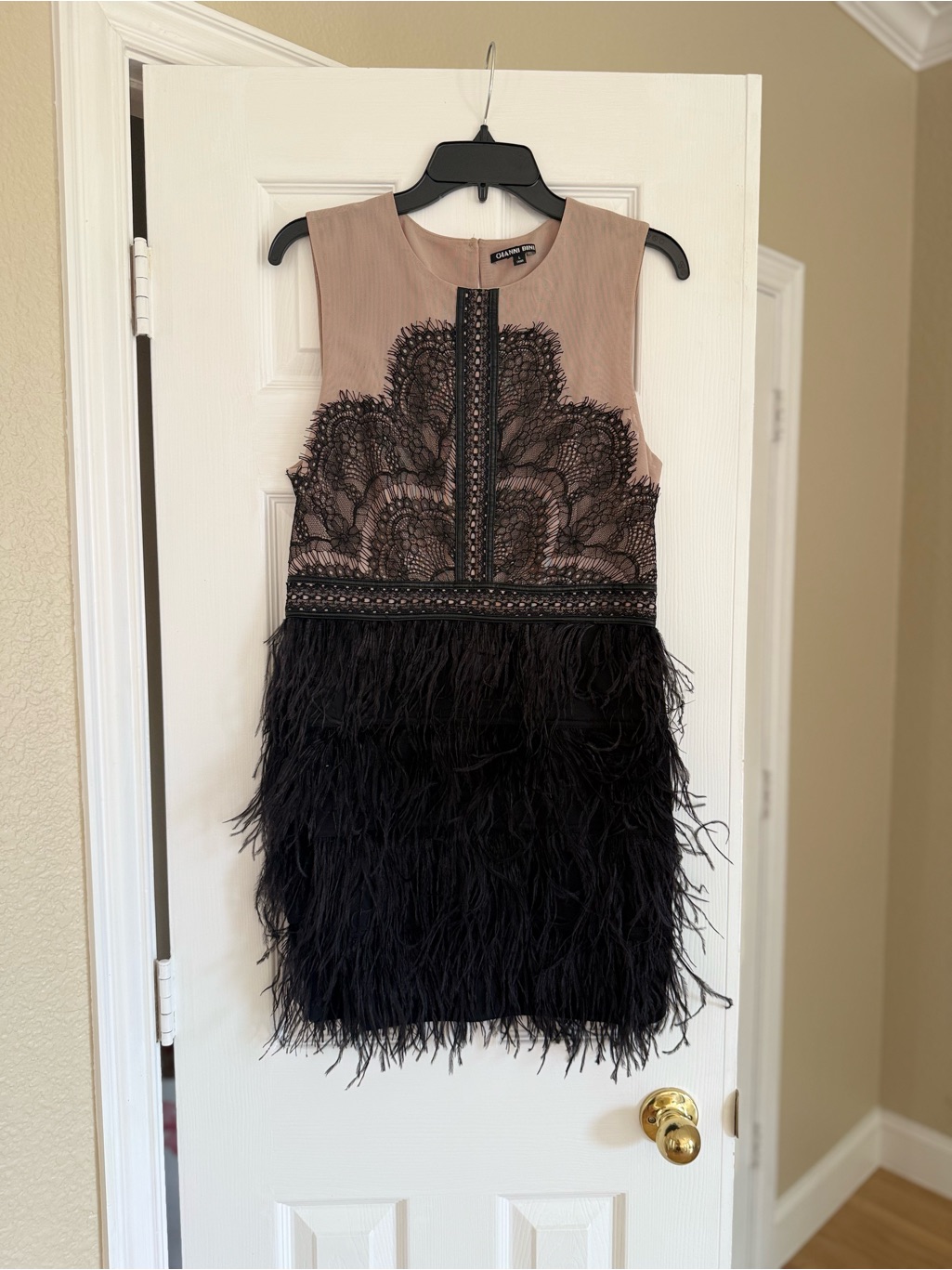 Lace & Feather Sheath Dress In Taupe And Black